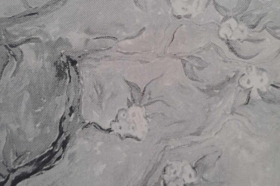Birnenblüten, 1917 - 1919