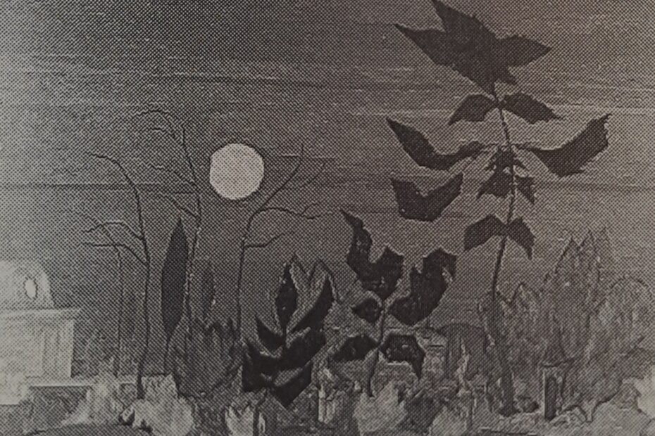 Park am Benrather Schloß, um 1922