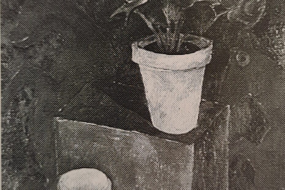 Alpenveilchen mit springenden Pferden, um 1923