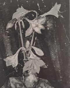 Amaryllis auf blauem Grund, 1924