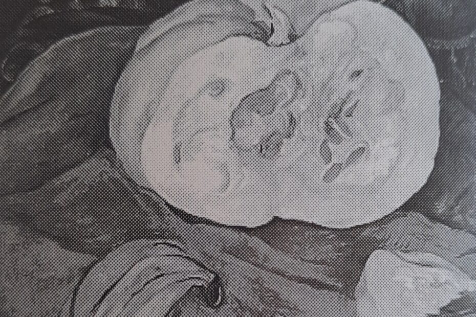 Kürbis-Stilleben, um 1924