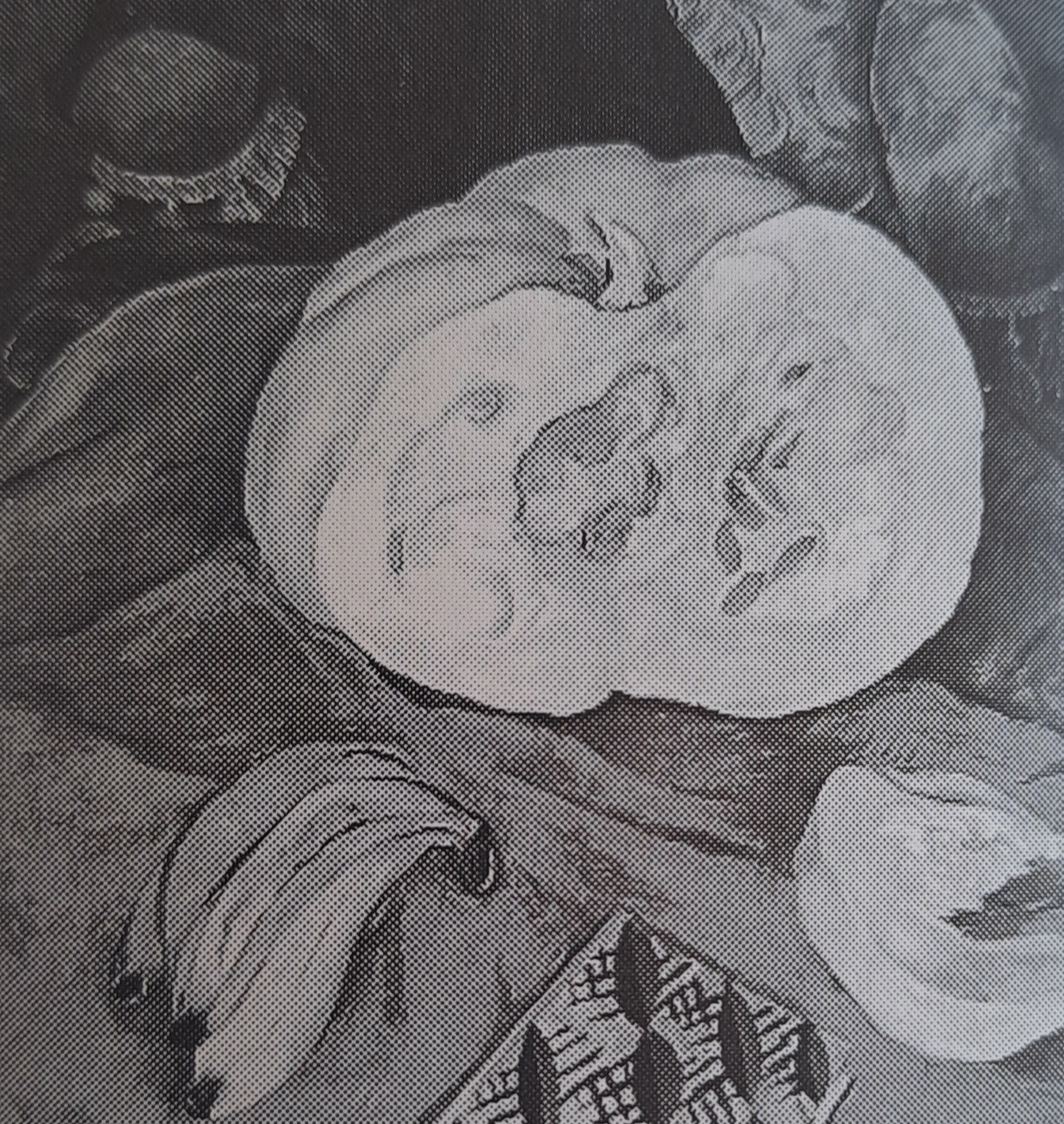 Kürbis-Stilleben, um 1924