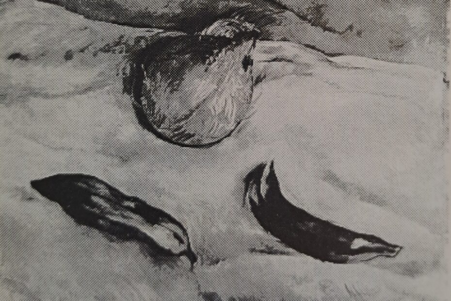 Kokosmuss mit Bananen, 1924 - 1926