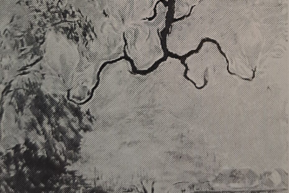 Landschaft mit Magnolienzweig, um 1926