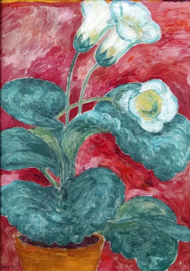 Glockenblumen (Campanula), undatiert