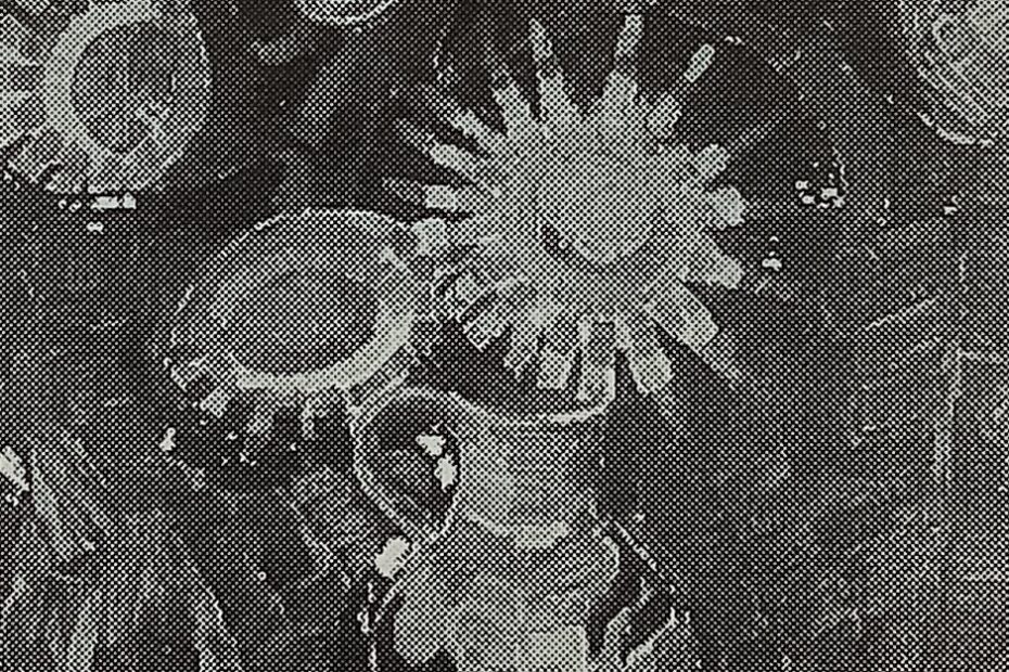 Disteln im Krug, um 1915