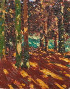 sonnenflecken im tannenwald